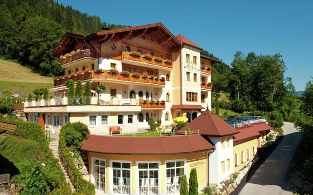 Apartment in Kleinarl With Wellness Centre