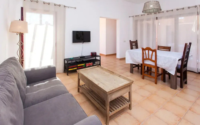 Anahi Home Dracaena 2