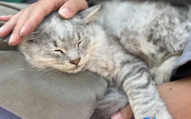 Yougu Xinlu Inn (Dali Qingyin)