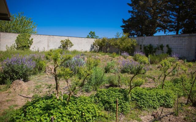 Agriturismo biologico Piccapane