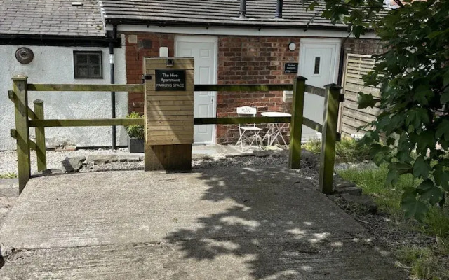 The Hive Apartment