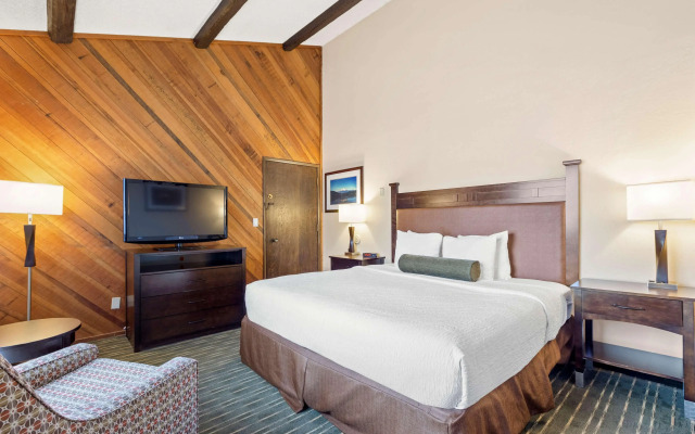 Best Western Plus Tree House