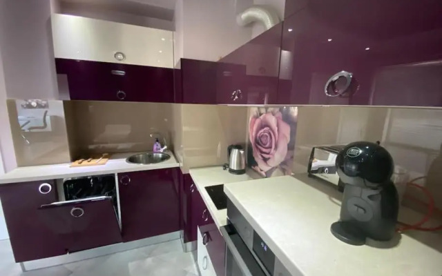 Modern 1BR Apartment with Hill View & Free Street parking