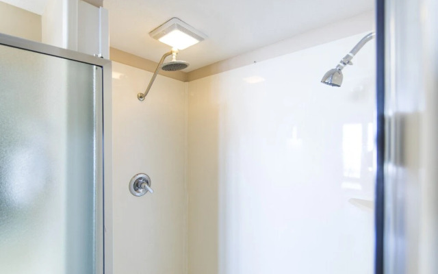 Treasure Island 0208