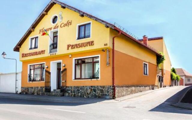 Pension Floare de Colti