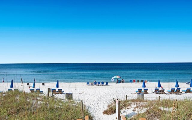 Commodore 1302 Caspian Rose