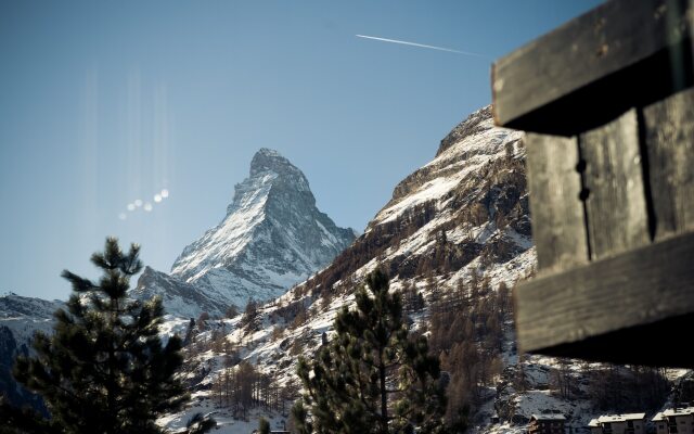 Wellness Hotel Alpenhof