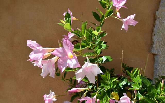 Stunning Villa Near Regusse With Private Swimming Pool