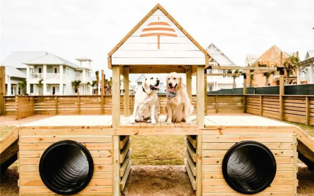 Hakuna Matata 138 BAR