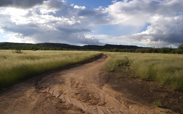 Sasa Safari Camp