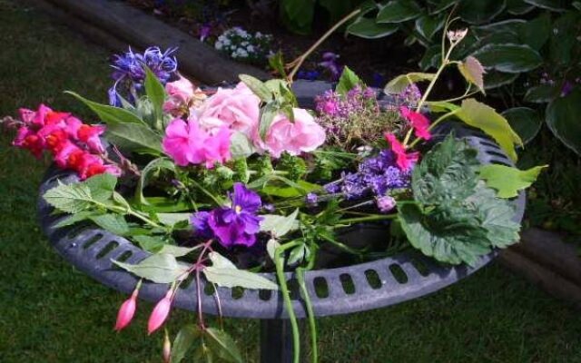 A Scented Garden Bed and Breakfast