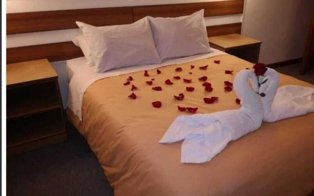 The Grasshopper Hostal Plaza de Armas