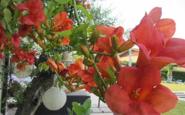 Villaguarda Landscape Experience