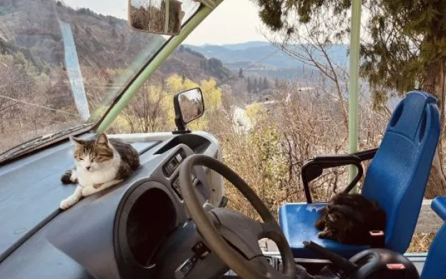 Heyi Shanyin Homestay (Linyishan Huaqing Palace)