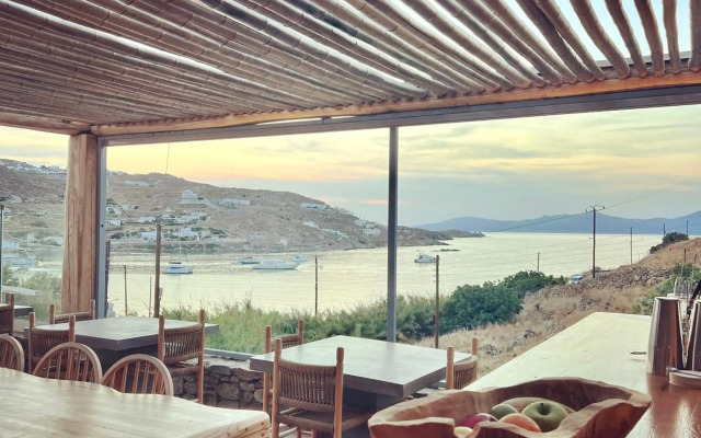 Aelia Mykonos