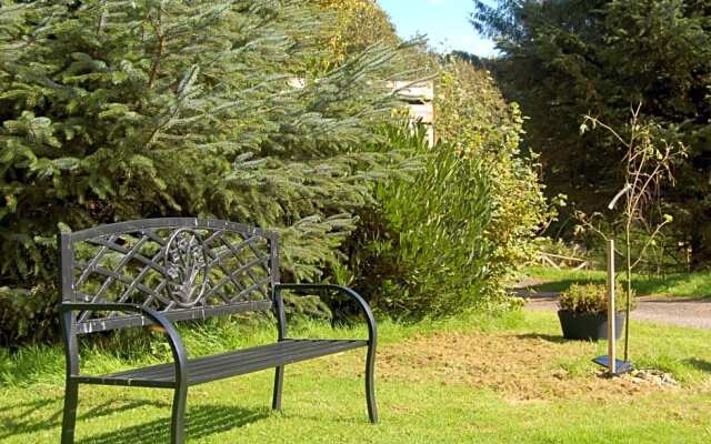 Cosy Rowan woodland lodge no3