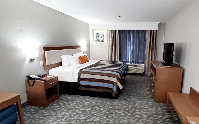 Spark by Hilton Tupelo