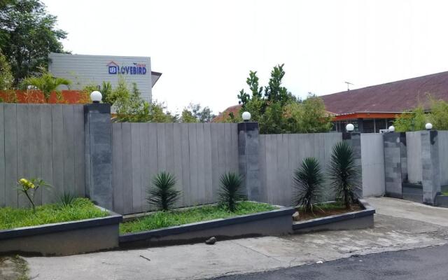 Wisma Lovebird