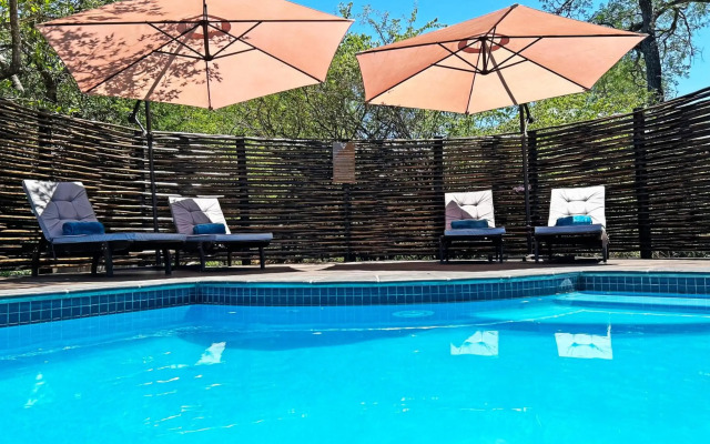 Wild Dog Guest Lodge