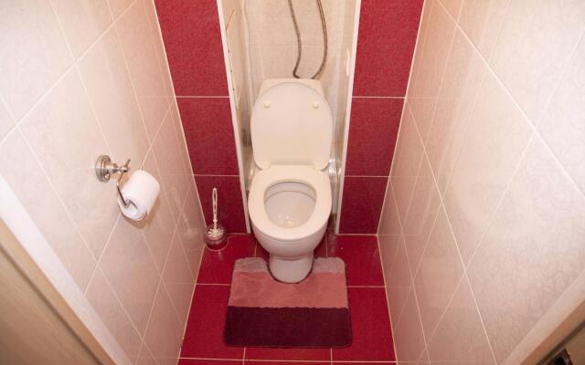 Барбарис на улице Льва Толстого