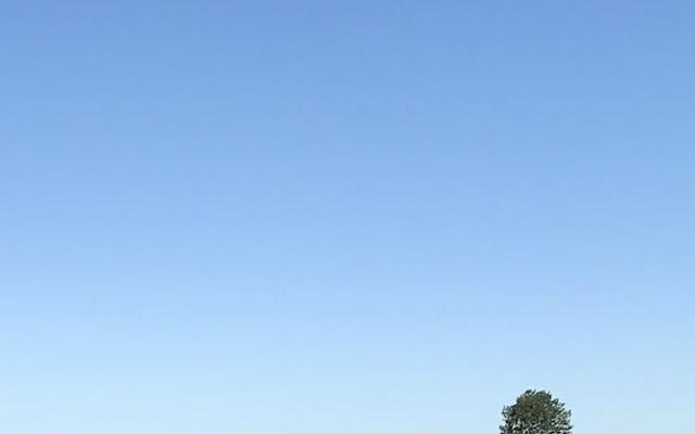 Strandbadsgården