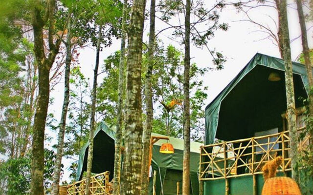 Season7 The Nature Resort - Munnar