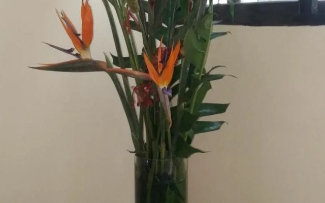 Polo Nest Boutique Hotel