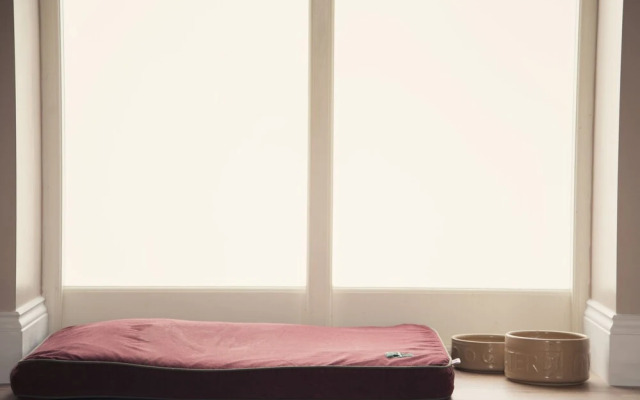 Llaethdy - The Dairy