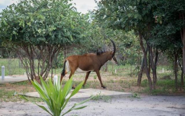 Mokorro Game Ranch and Lodge