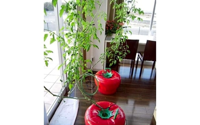 Wind City Hotel - Vacation STAY 81473