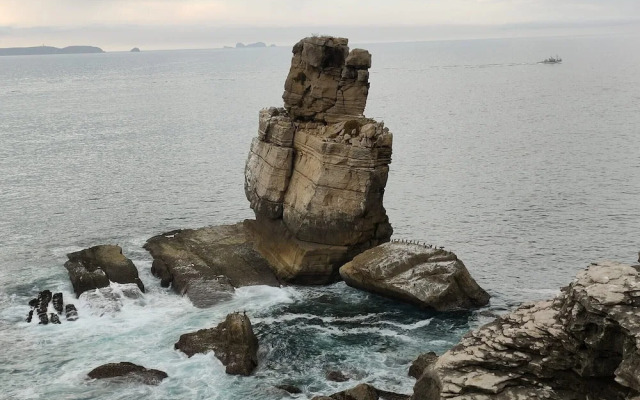 Peniche Nature and Beach Flat