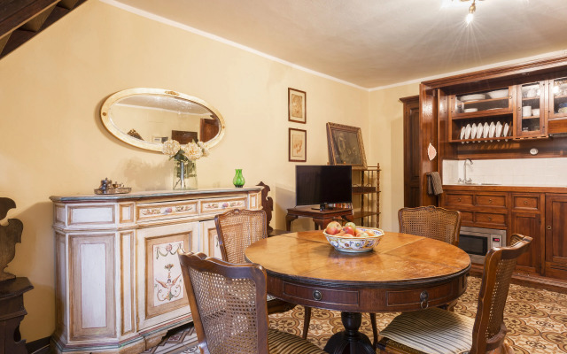 Tintori Classic by Mmega