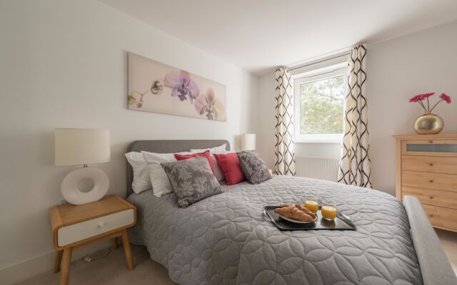 Hampden Apartments - The Beatrice