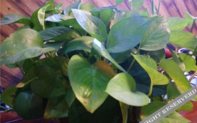 Yiqianlingyiye Fashion Theme Hotel