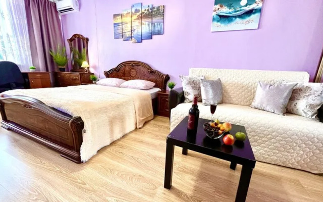 Самарские апартаменты на ул. Санфировой, д. 99