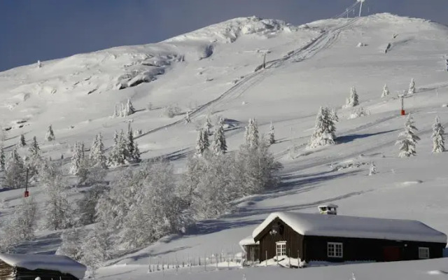 Spidsbergseter Hytter og Fjellsuiter