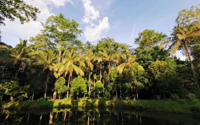 Sepilok Jungle Resort