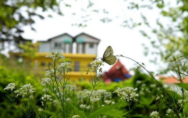 Ganghwado Petite Pension