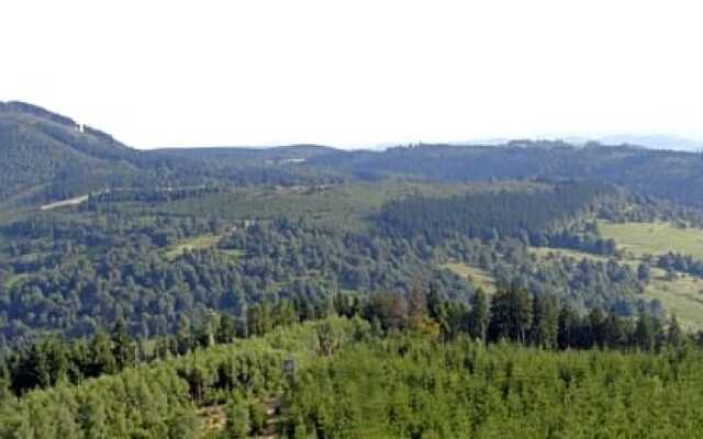 Gasthaus&Pension "Grünes Herz"