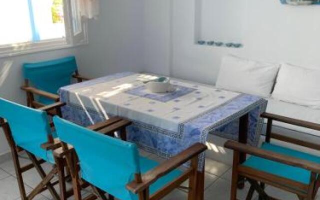 Irene`s House