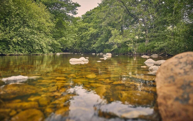 Host Stay Chapel Race - Bowlees