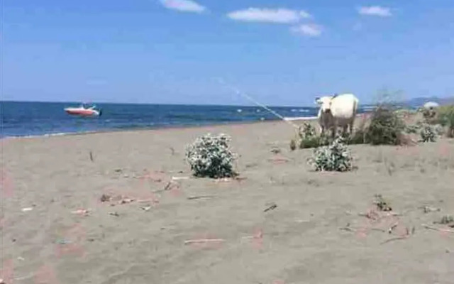 Hotel Biser Ulcinj