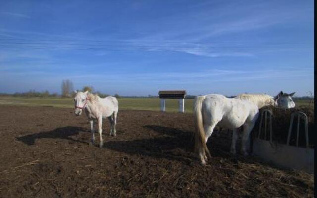 Gedeon Tanya-Panzió