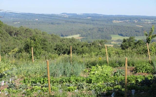 Nature et Piscine au sommet du Périgord