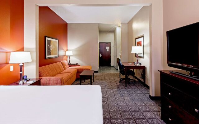 Comfort Inn & Suites Irving Las Colinas DFW