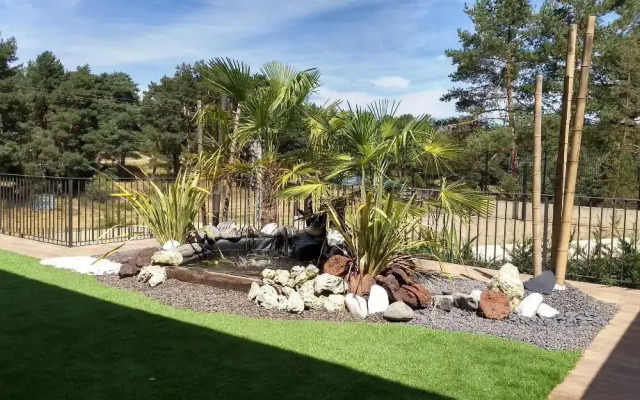 El Nido de Pinares