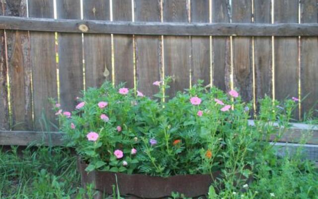 1 Gostiniy Dvor Izbushka