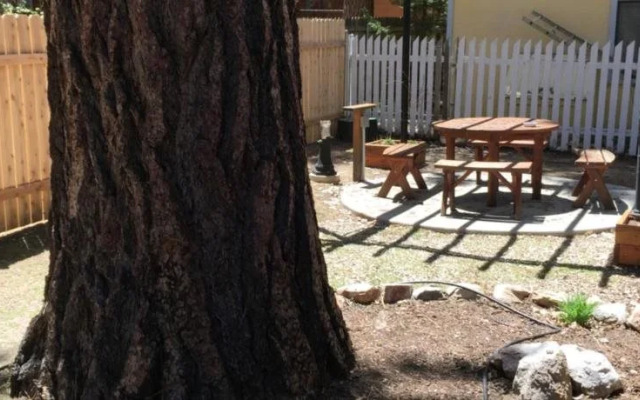 Timber Haven Lodge