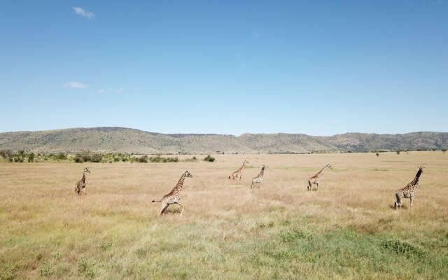 Kananga Special Tented Camp