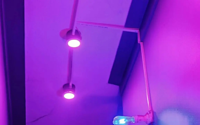 Startup House
